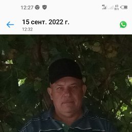   , 61 , 