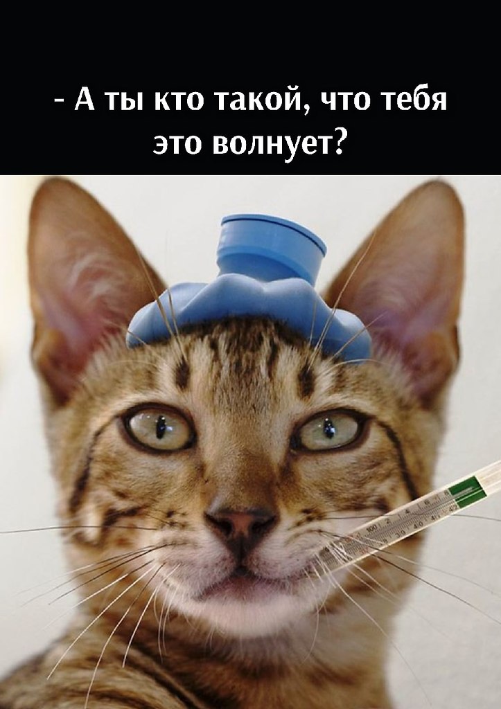 ��� ���� � ����� �� �� - 18 ������� 2025 � 16:03 - 2