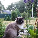 ���� ��������, ������, 59 ��� - ��������� 15 ������ 2025 � ������ ������ ��������