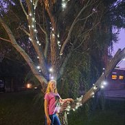 �����, 24 ����, ��������