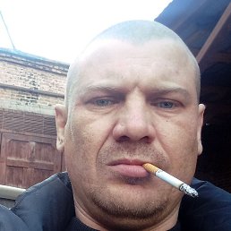 �������, ����������, 43 ����