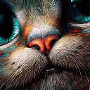 ���� ������, �����-��������� - ��������� 11 ������� 2026 � ������ ������ ��������