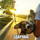 ���� Vlad., �����, 40 ��� - ��������� 12 ���� 2026