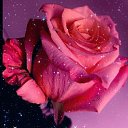 ���� Y, ������� - ��������� 14 �������� 2025 � ������ ���� ����������