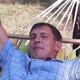 �������, ������, 45 ���