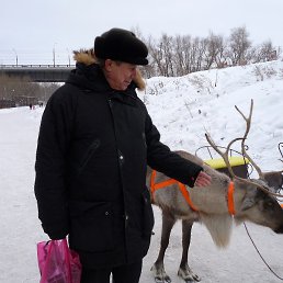 ������, ����, 70 ���