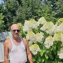 ���� ���������, �������, 62 ���� - ��������� 11 ������� 2024