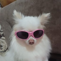 ��� ������� �����)))