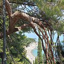 ���� ��������, ��������� - ��������� 6 ���� 2025 � ������ ���� ����������