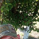 ���� ��������, ����, 32 ���� - ��������� 30 ������ 2024