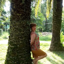 �����, �����������