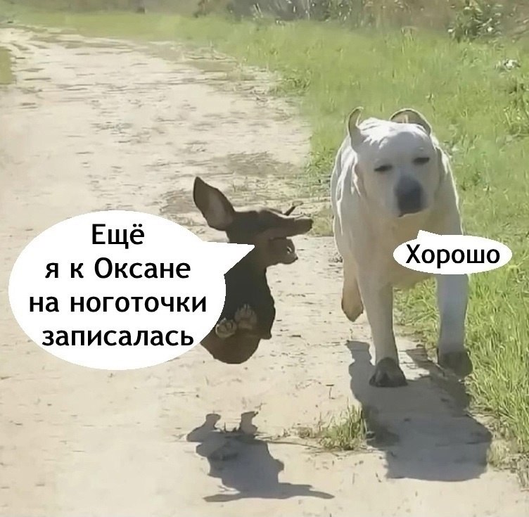   - 6  2025  14:09 - 3