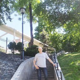 , 62, 