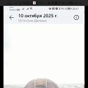 ���� ��������, ����, 57 ��� - ��������� 16 ������ 2026 � ������ ���� ����������