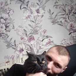 �����, ���������, 40 ���