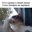 ���� ���, ������ - ��������� 25 ����� 2026 � ������ ���� ����������