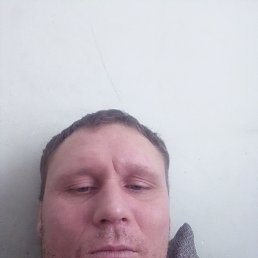 ���� ������, �����������, 43 ���� - ��������� 10 ������ 2024