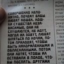 ���� �����, ������, 50 ��� - ��������� 25 ������� 2025 � ������ ������ ��������