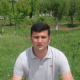 ����, ������