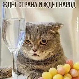 �����, ���������, 55 ���