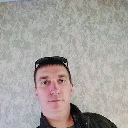 , 37, 
