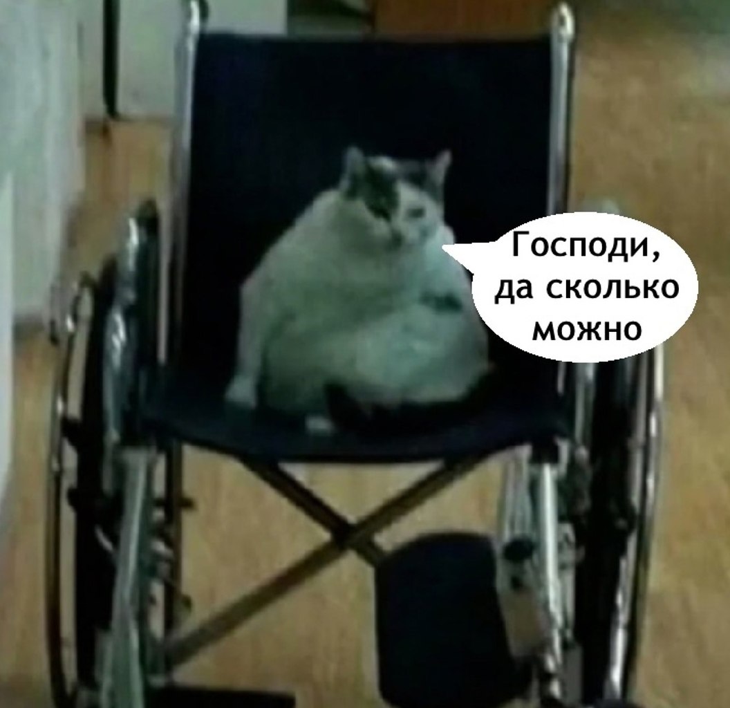  .. - 3