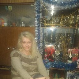 ���� ����, ������, 56 ��� - ��������� 4 ����� 2024