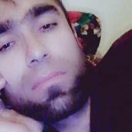 ������, �����-���������, 37 ���