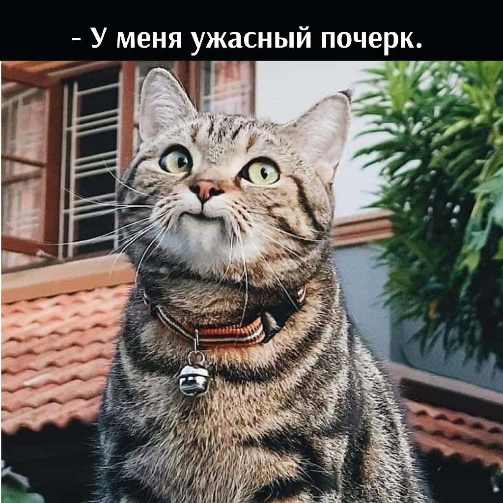       - 1  2025  23:04 - 2