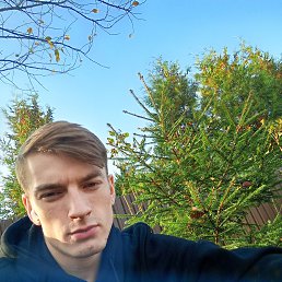, 24, 