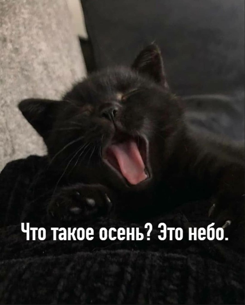       - 1  2025  15:48