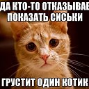 ���� �������, ��������� - ��������� 2 ������ 2024 � ������ ���� ����������