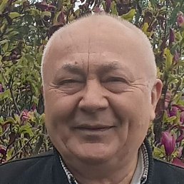 ������, �������, 64 ����