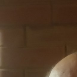 �������, ������, 65 ���