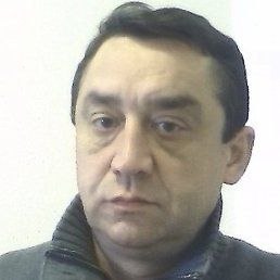 �������, 58 ���, ������