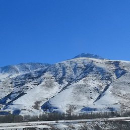 ������, ������