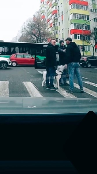 Я всегда мечтал так сделать скажем мужчине спасибо за нас всех - 5