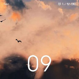 Usman, �����-���������, 36 ���