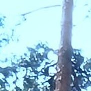 ��������, 46 ���, ������