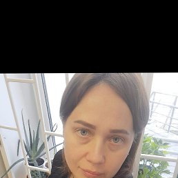 ���� �����, ��������, 40 ��� - ��������� 14 ������ 2026