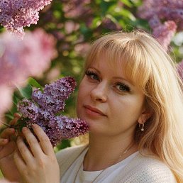 ���� ��������, ���������, 42 ���� - ��������� 1 ����� 2026