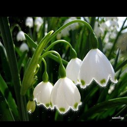 ���� ����, ���������, 57 ��� - ��������� 14 ������ 2026