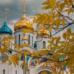 �������, ���������, 65 ���