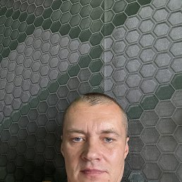 , 41, 
