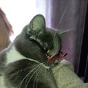 ���� �����, ��������, 48 ��� - ��������� 30 ������ 2025 � ������ ������ ��������