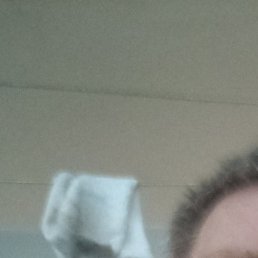 ������, ��������, 51 ���