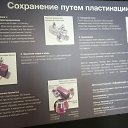 ���� �����, ������������ - ��������� 6 ���� 2025 � ������ ������ ��������. ����.�