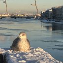 ���� �������, �����-��������� - ��������� 30 ������ 2025 � ������ ������� �����