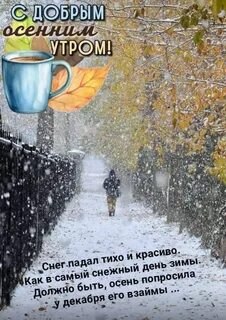 ***Victoria Viktorovna*** - 3  2025  04:53