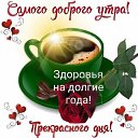 ���� ��������, �����-��������� - ��������� 9 ������� 2024 � ������ ���� ����������